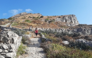 path of punta campanella